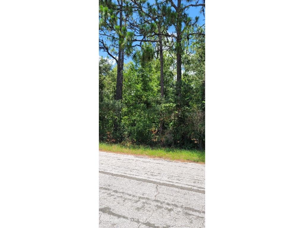7780 N Sarazen Drive Citrus Springs FL 34434 W7865779 image1