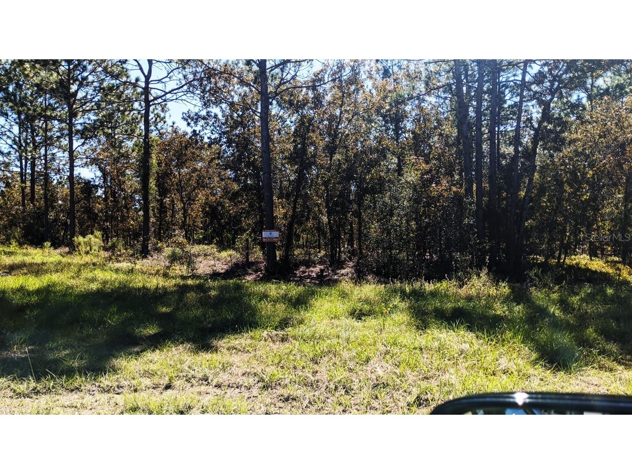 7781 SW 121st Terrace Road Dunnellon FL 34432 TB8432816 image1