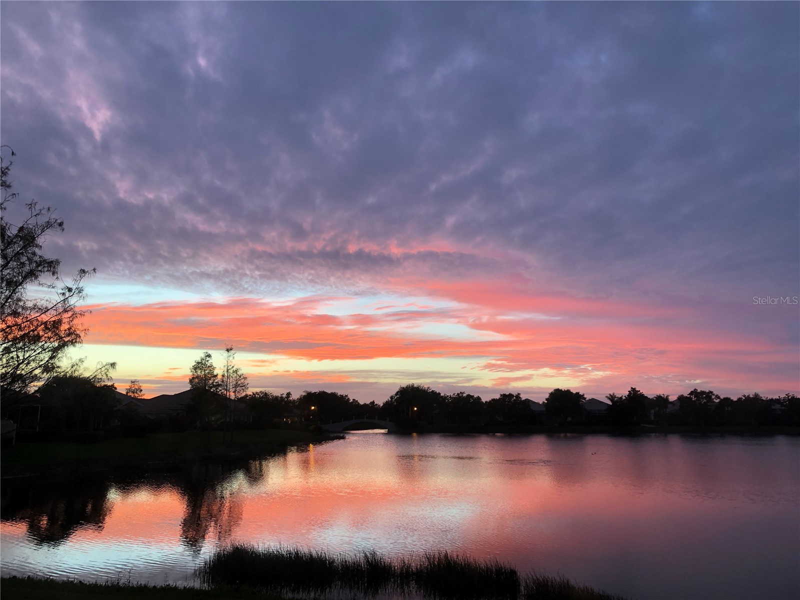 7782 Uliva Way Sarasota FL 34238 A4680873 image28