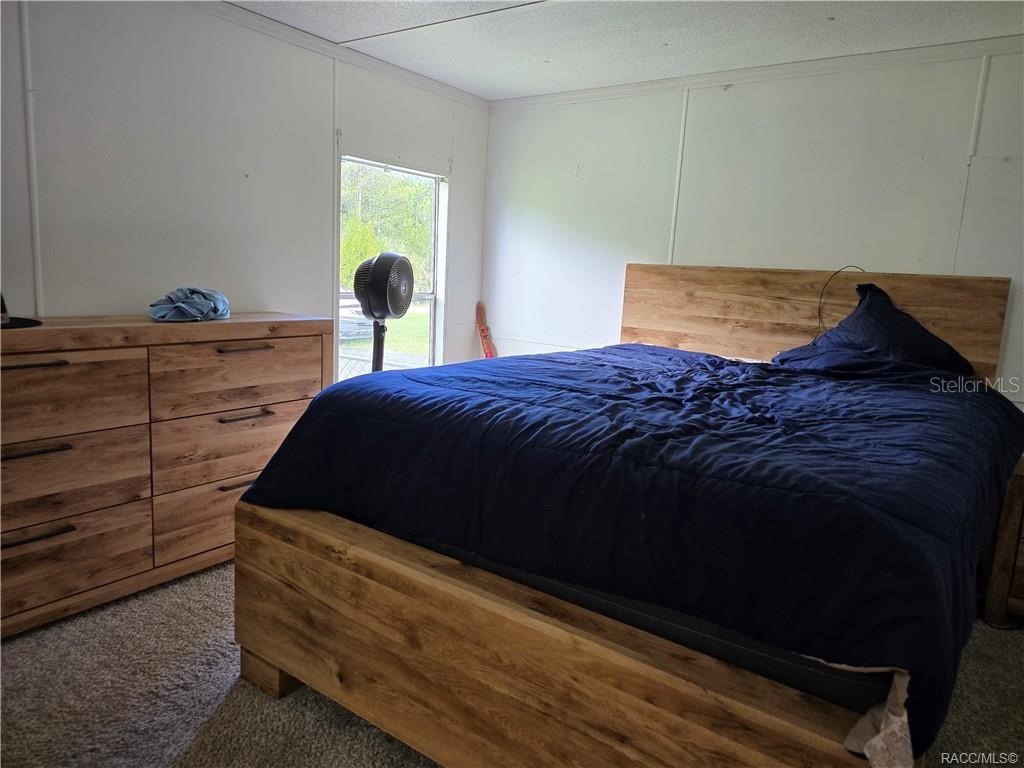 7782 W Debra Lane Homosassa FL 34448 OM713469 image16