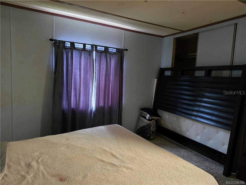 7782 W Debra Lane Homosassa FL 34448 OM713469 image19