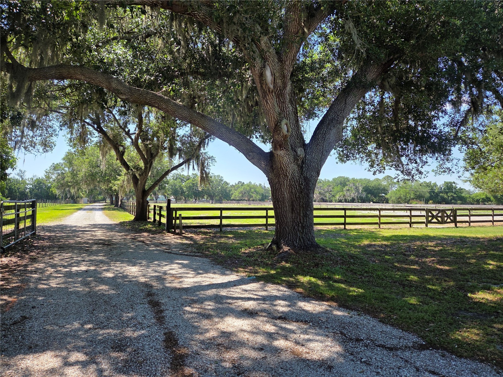 7783 Saddle Creek Trail Sarasota FL 34241 A4690651 image4