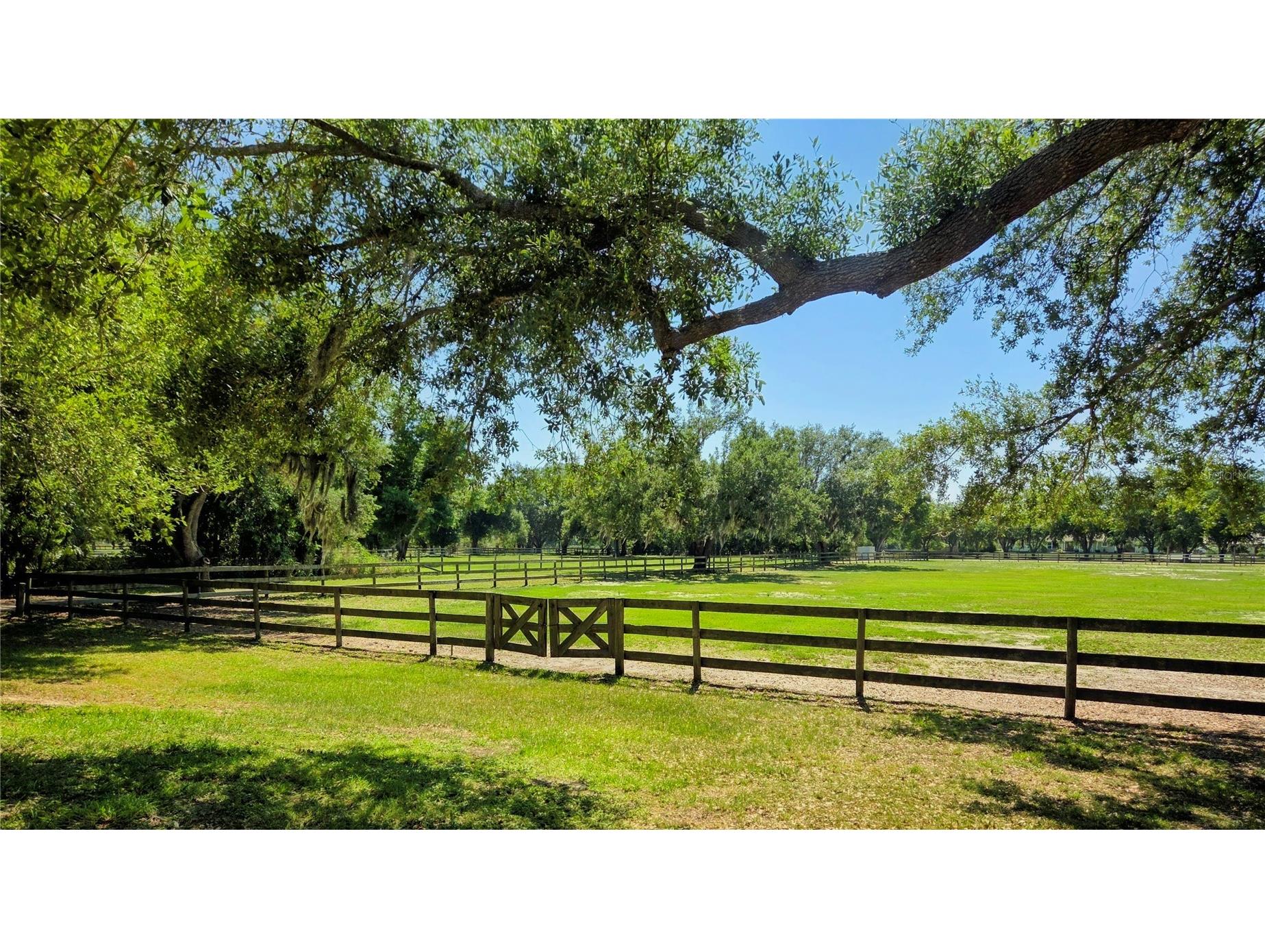 7783 Saddle Creek Trail Sarasota FL 34241 A4690651 image5