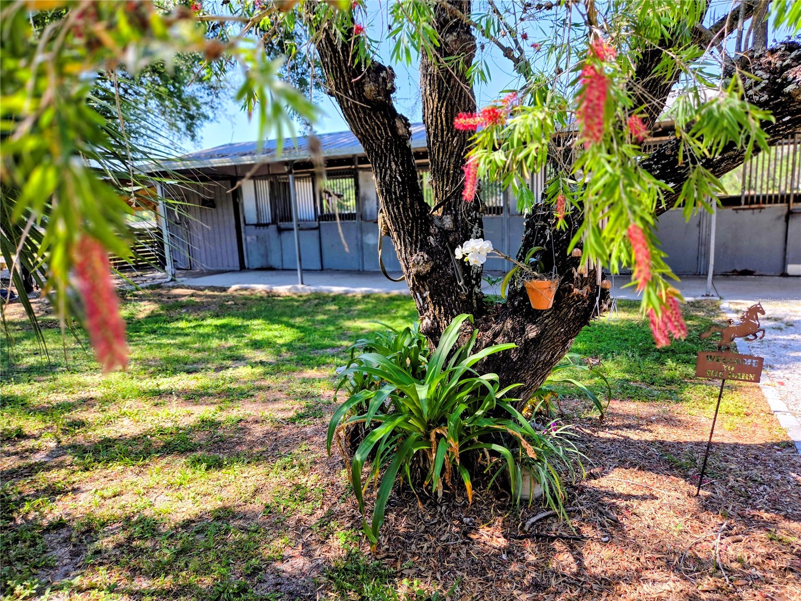 7783 Saddle Creek Trail Sarasota FL 34241 A4690651 image53