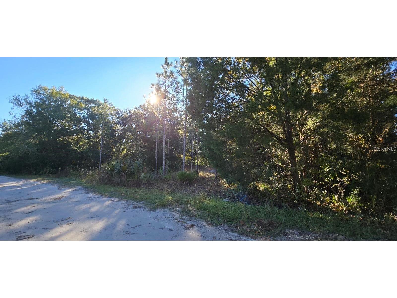 7784 W Twin Canal Lane Homosassa FL 34448 TB8481494 image1