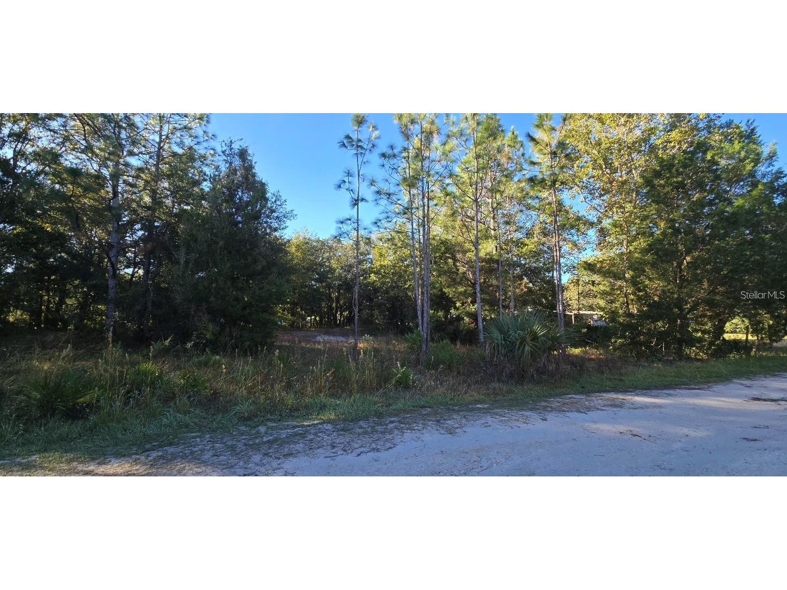 7784 W Twin Canal Lane Homosassa FL 34448 TB8481494 image2