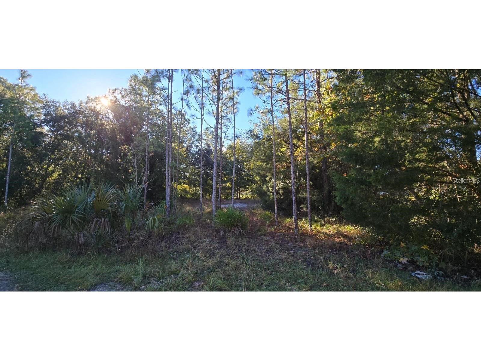 7784 W Twin Canal Lane Homosassa FL 34448 TB8481494 image3