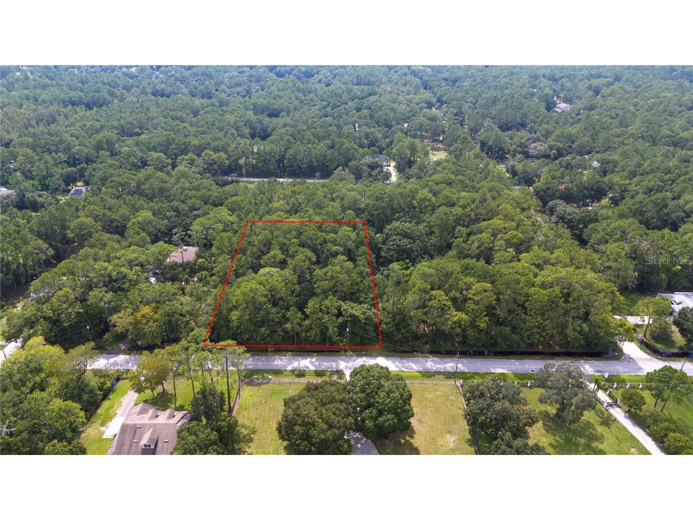 7785 West Drive Wesley Chapel FL 33544 T3550146 image1