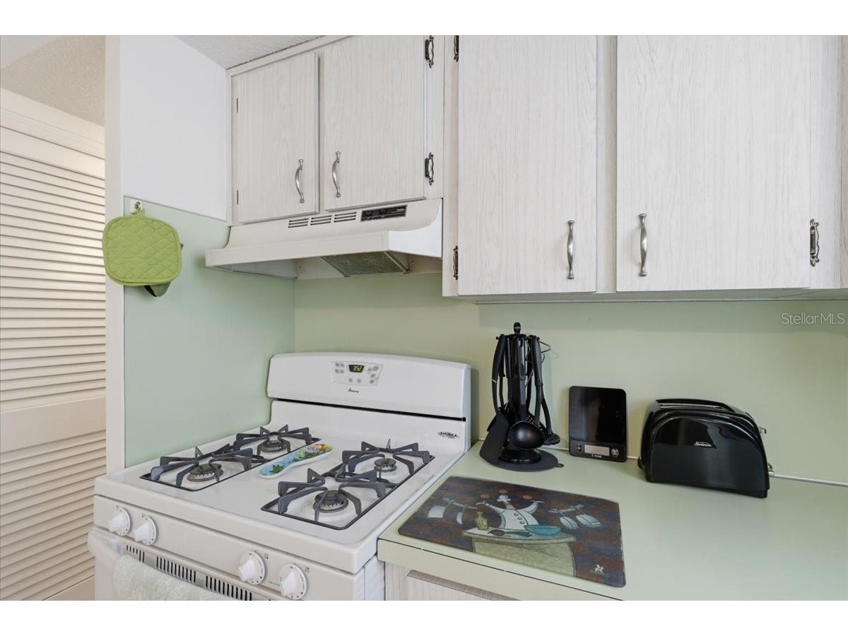 7787 39th Terrace N #7787 Saint Petersburg FL 33709 TB8488599 image13