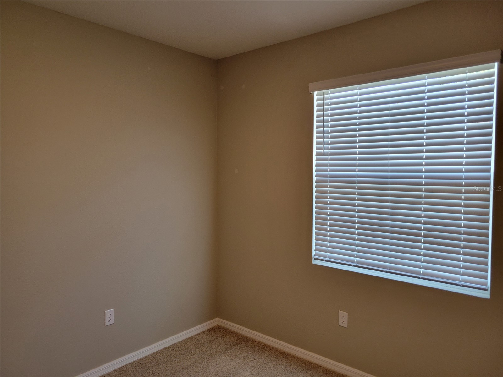 7788 Stonebrook Circle Wesley Chapel FL 33545 TB8519640 image14