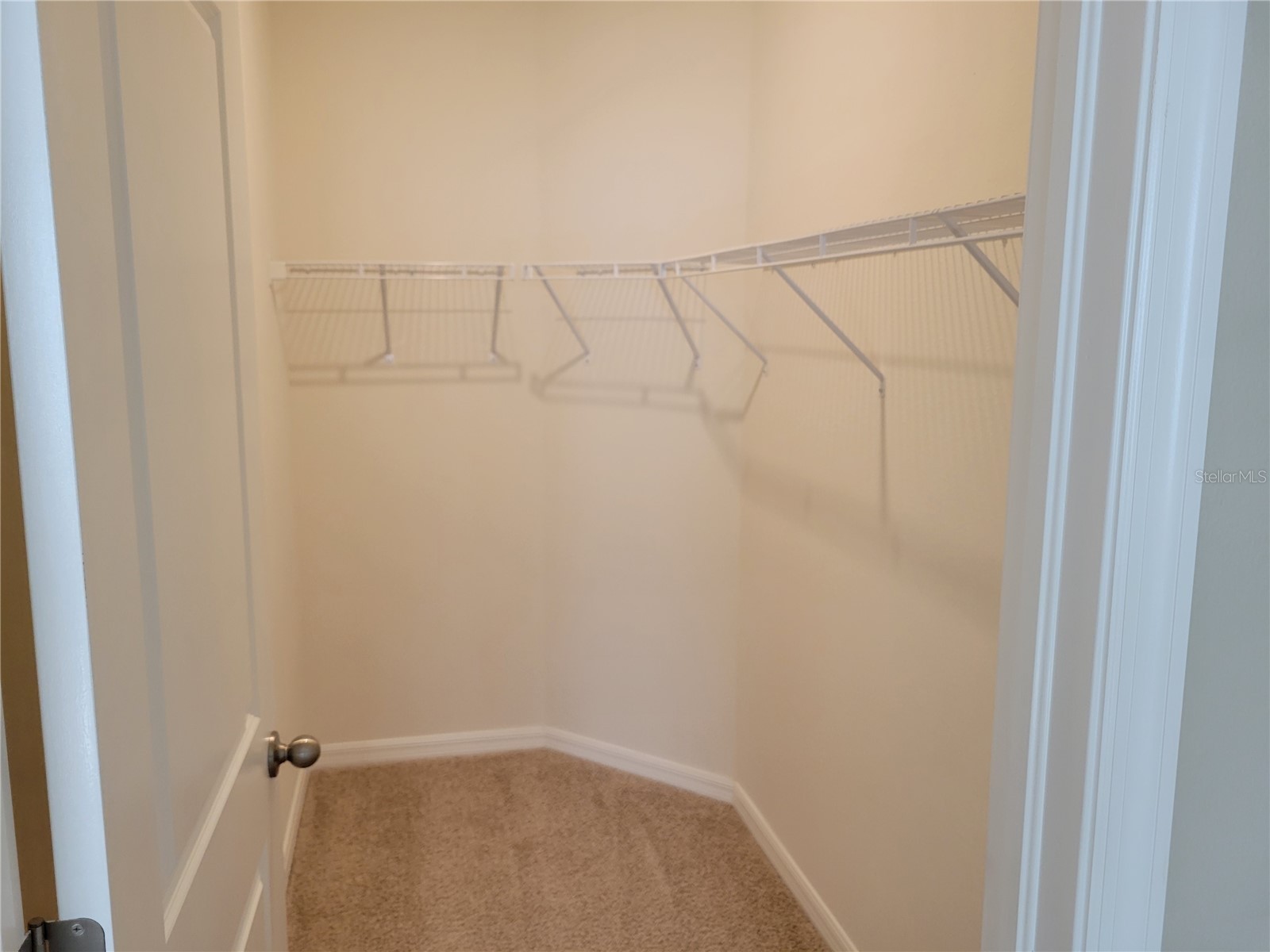 7788 Stonebrook Circle Wesley Chapel FL 33545 TB8519640 image20