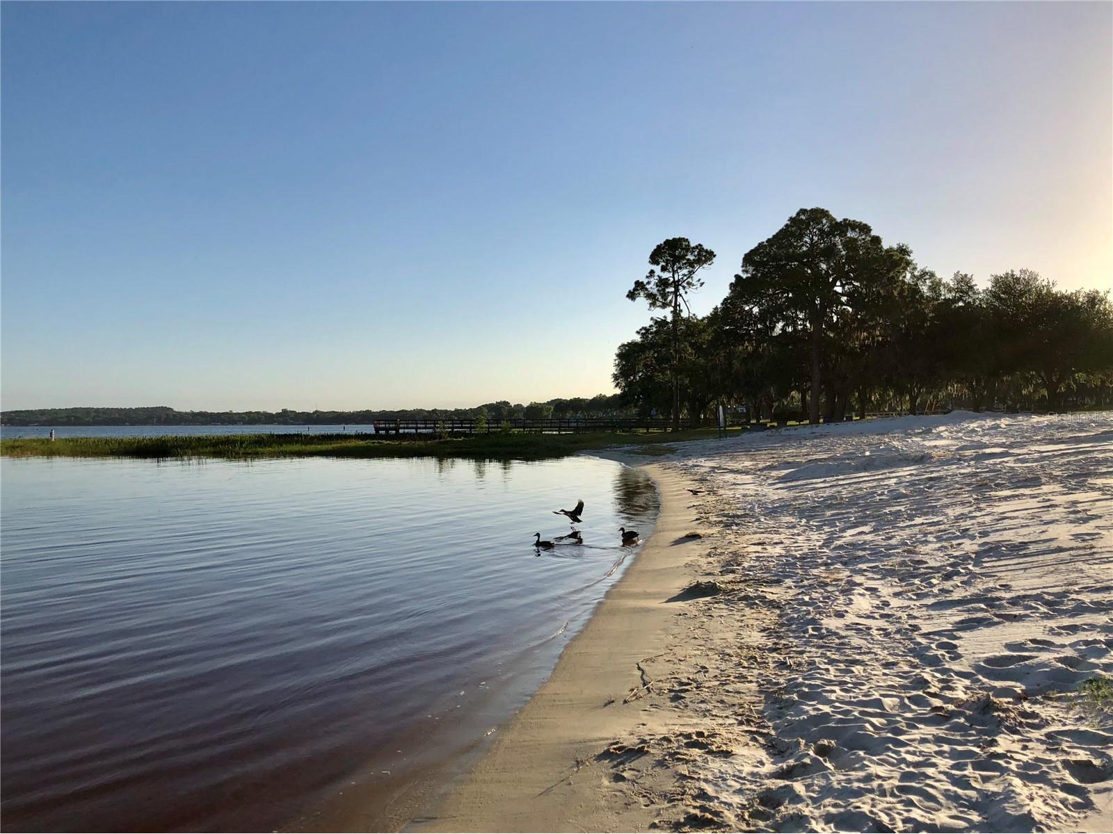 779 Kapi Drive Groveland FL 34736 G5111711 image67