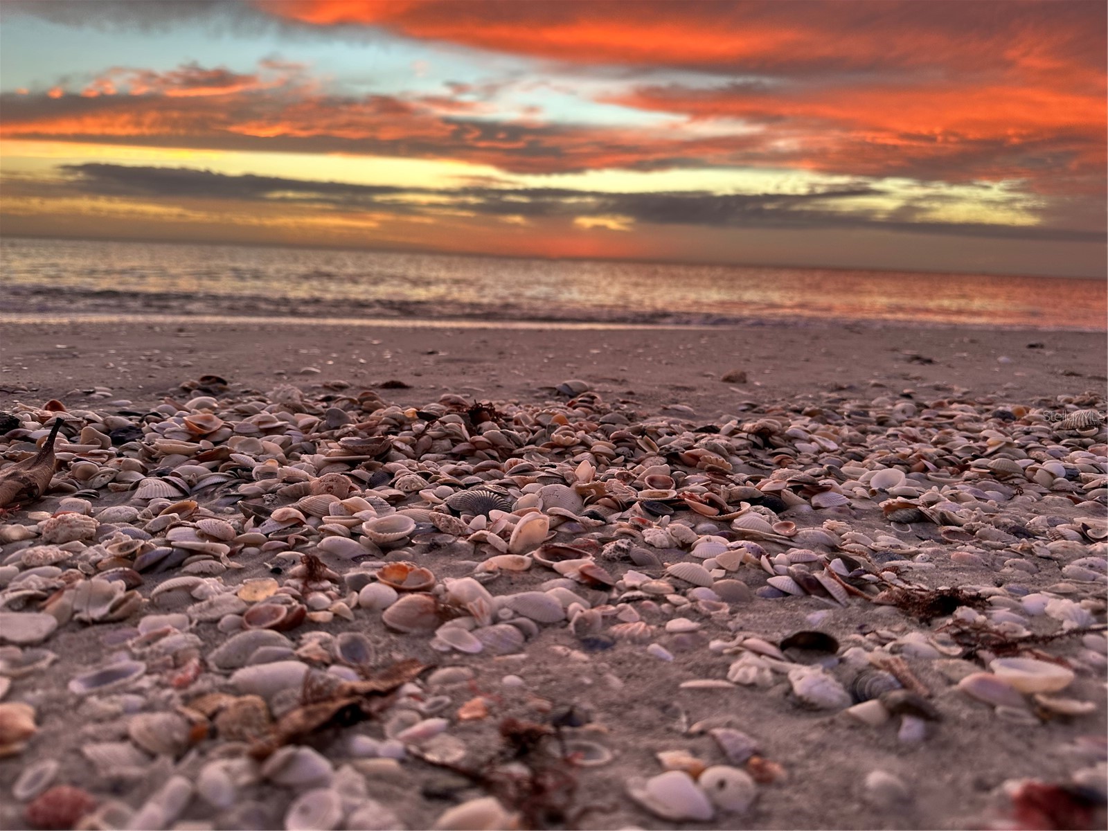 779 Saint Judes Drive N Longboat Key FL 34228 O6326464 image27
