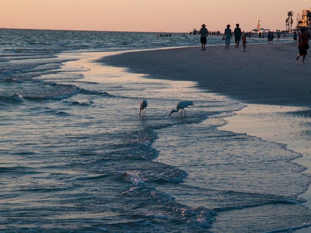 7790 Fairway Woods Drive #1201 Sarasota FL 34238 A4672965 image99