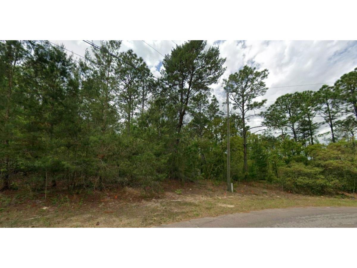 7792 N Ibsen Drive Dunnellon FL 34433 OM726255 image1
