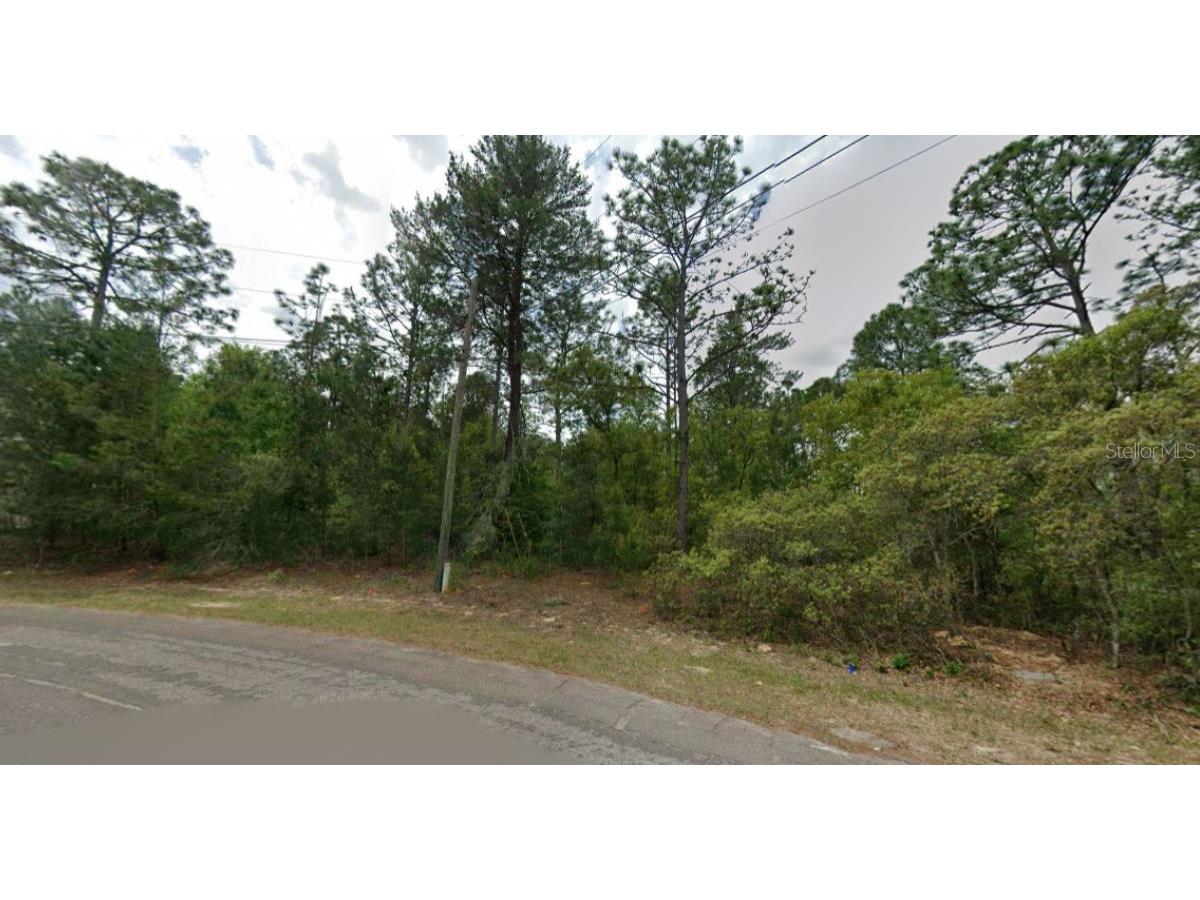 7792 N Ibsen Drive Dunnellon FL 34433 OM726255 image2