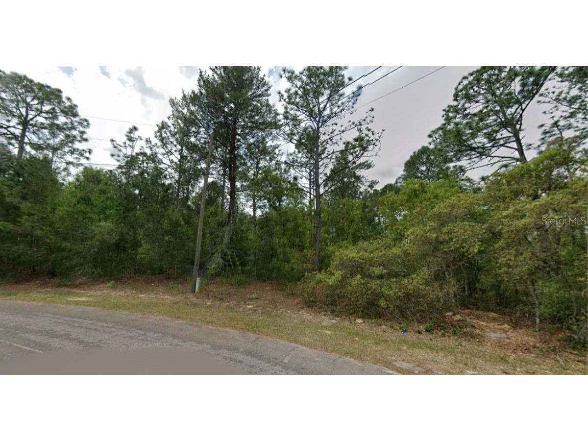 7792 N Ibsen Drive Dunnellon FL 34433 OM726255 image6