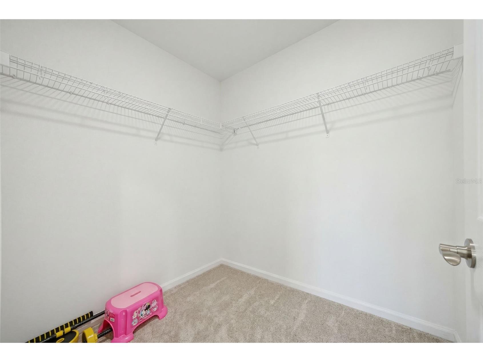 7792 Notched Pine Bend Wesley Chapel FL 33545 TB8489269 image41