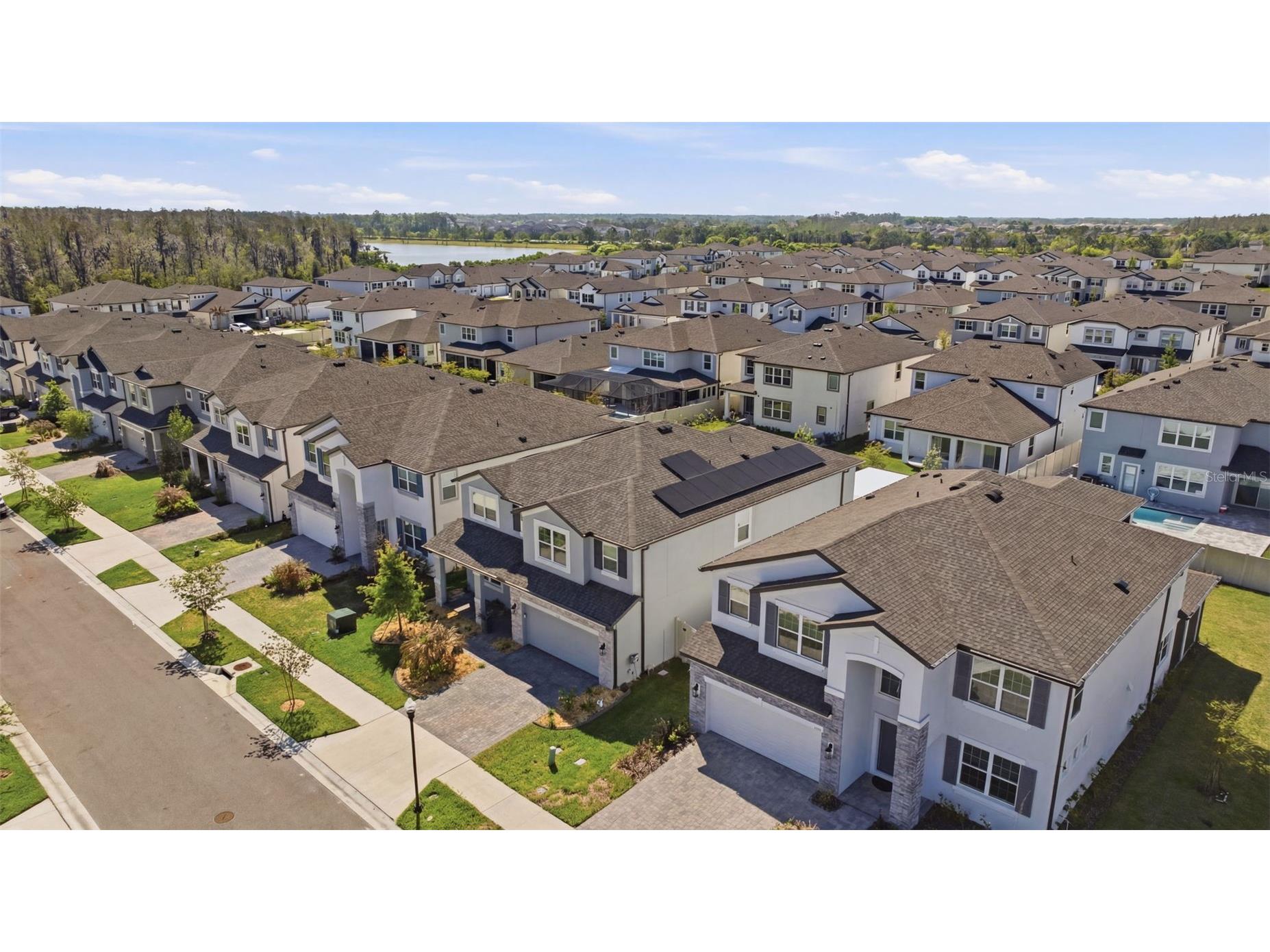 7792 Notched Pine Bend Wesley Chapel FL 33545 TB8489269 image69