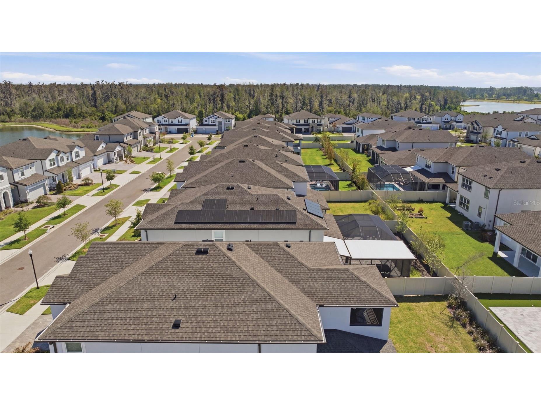 7792 Notched Pine Bend Wesley Chapel FL 33545 TB8489269 image70
