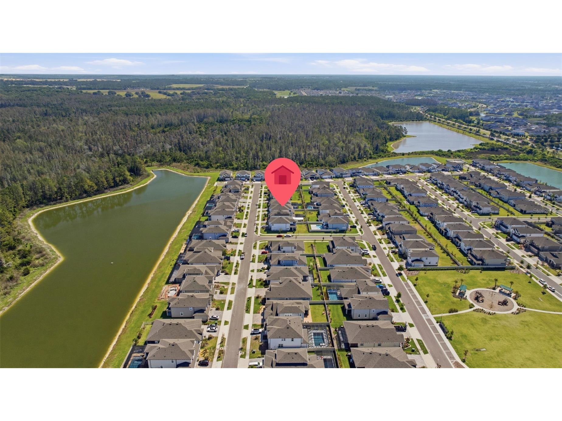 7792 Notched Pine Bend Wesley Chapel FL 33545 TB8489269 image79