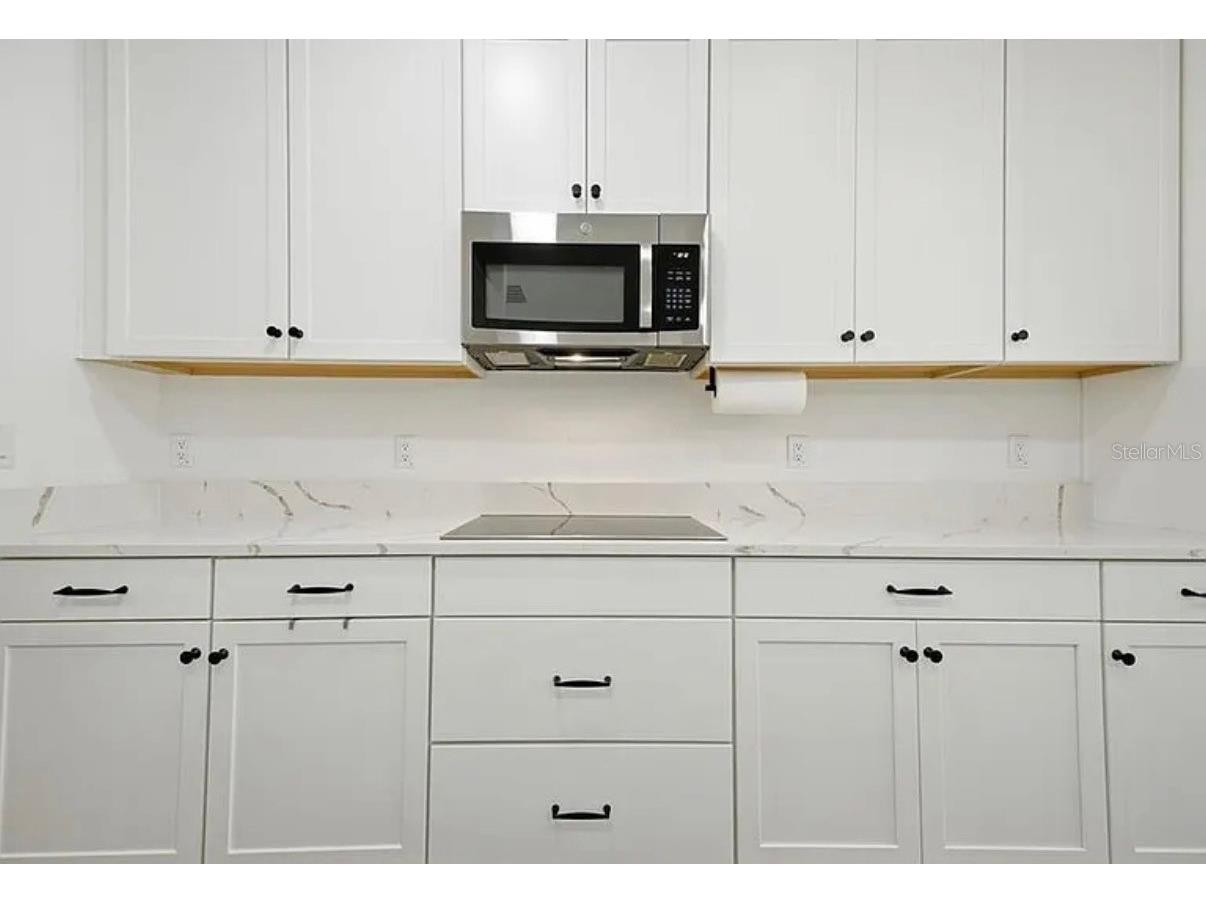7792 Notched Pine Bend Wesley Chapel FL 33545 TB8512654 image16