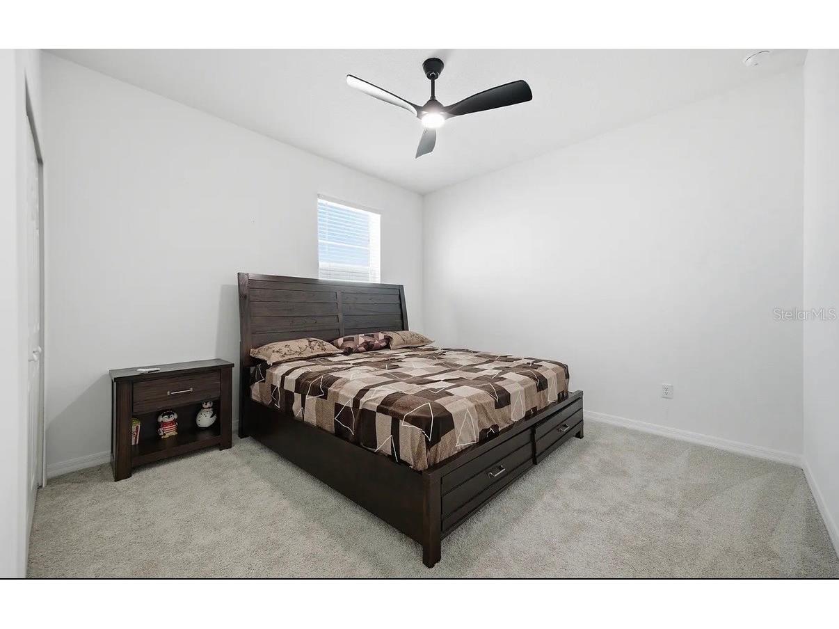 7792 Notched Pine Bend Wesley Chapel FL 33545 TB8512654 image27
