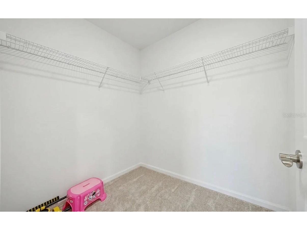 7792 Notched Pine Bend Wesley Chapel FL 33545 TB8512654 image37