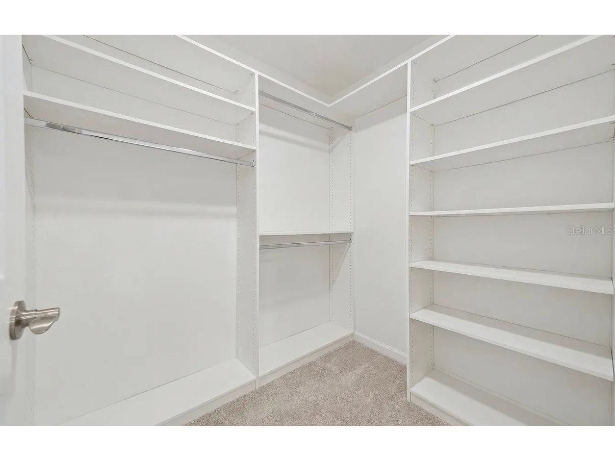 7792 Notched Pine Bend Wesley Chapel FL 33545 TB8512654 image39