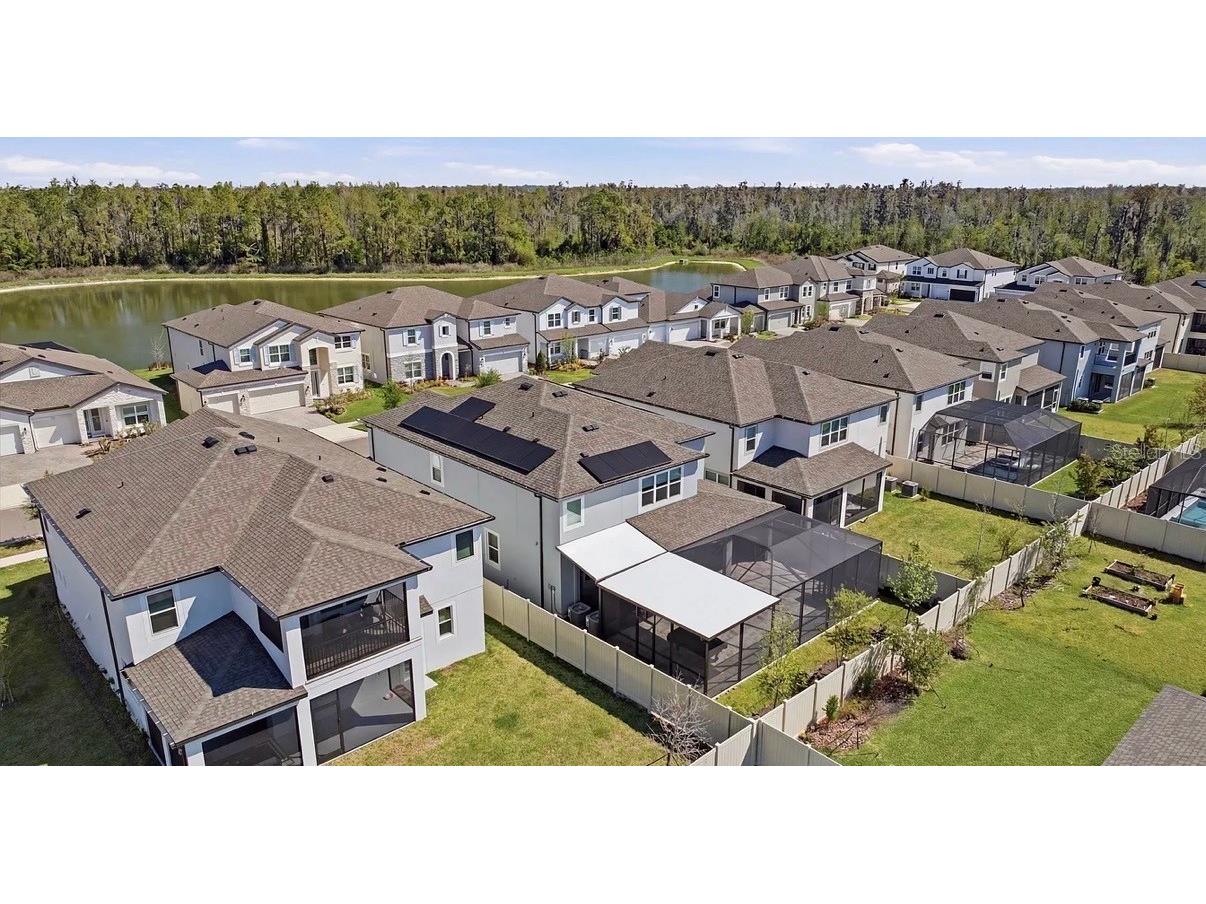 7792 Notched Pine Bend Wesley Chapel FL 33545 TB8512654 image63