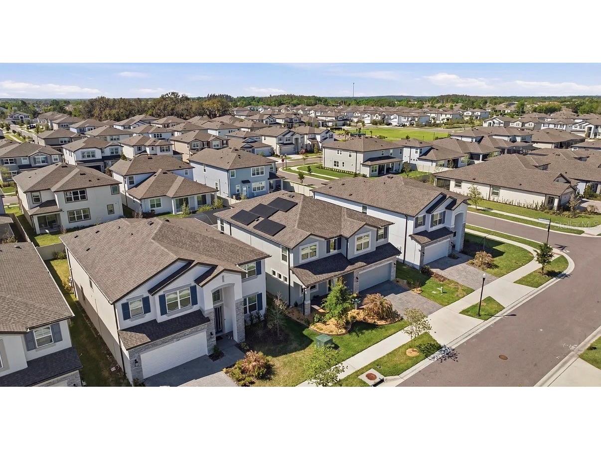 7792 Notched Pine Bend Wesley Chapel FL 33545 TB8512654 image65