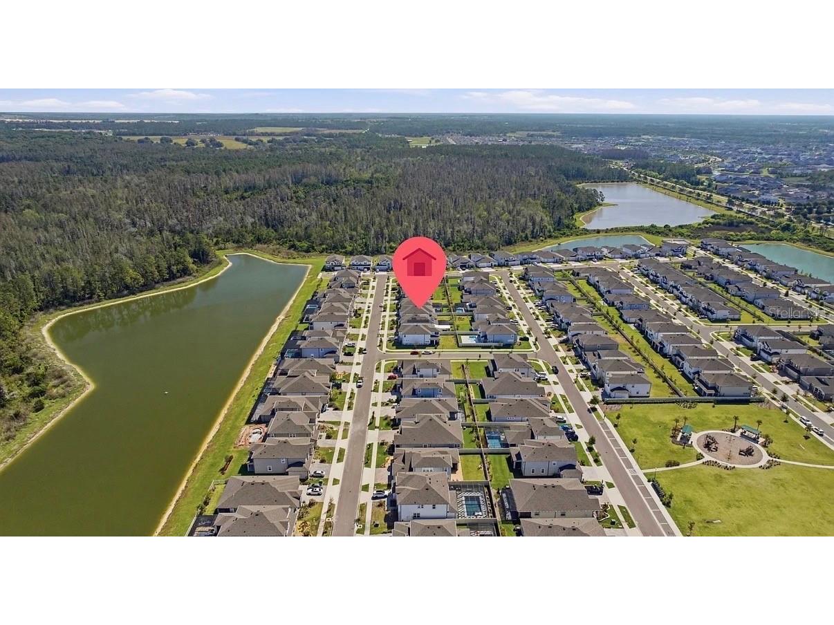 7792 Notched Pine Bend Wesley Chapel FL 33545 TB8512654 image68