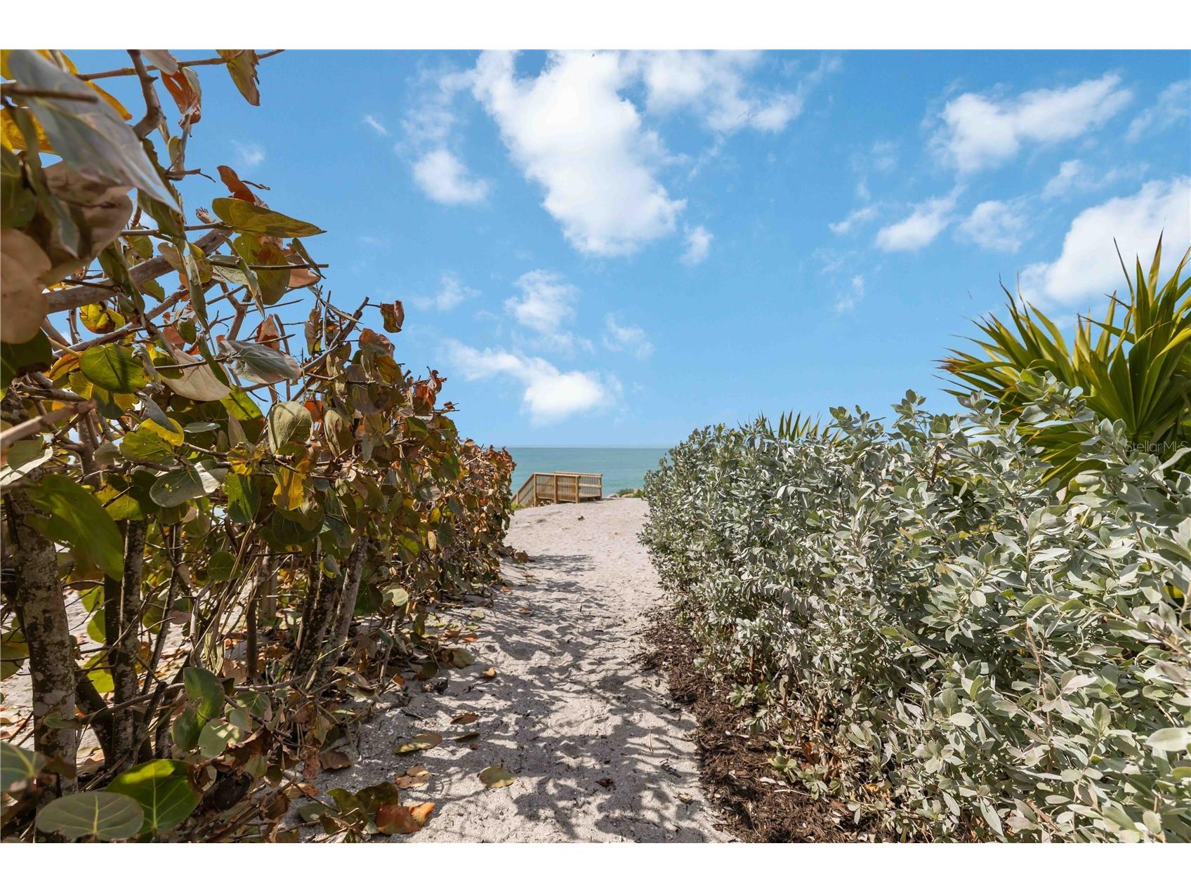 7795 Manasota Key Road Englewood FL 34223 N6142947 image48