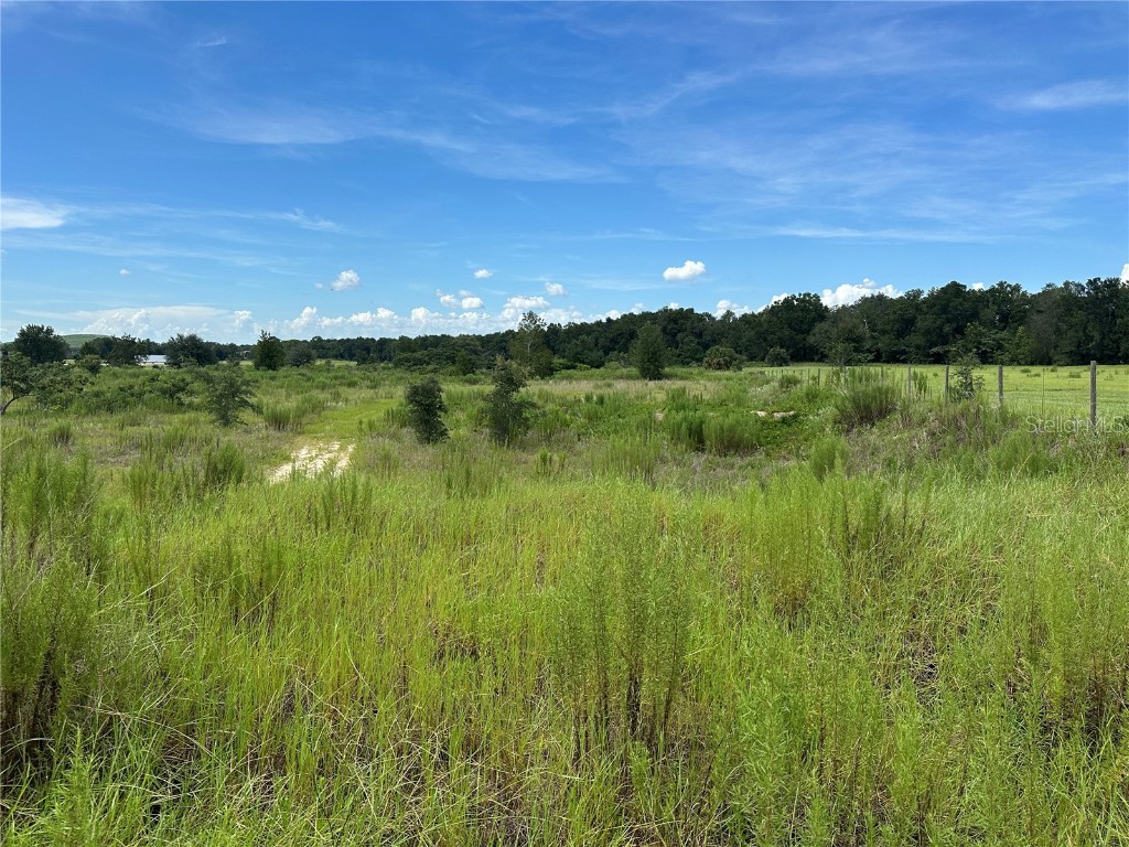 7795 SE 63rd Court Ocala FL 34472 OM706954 image3