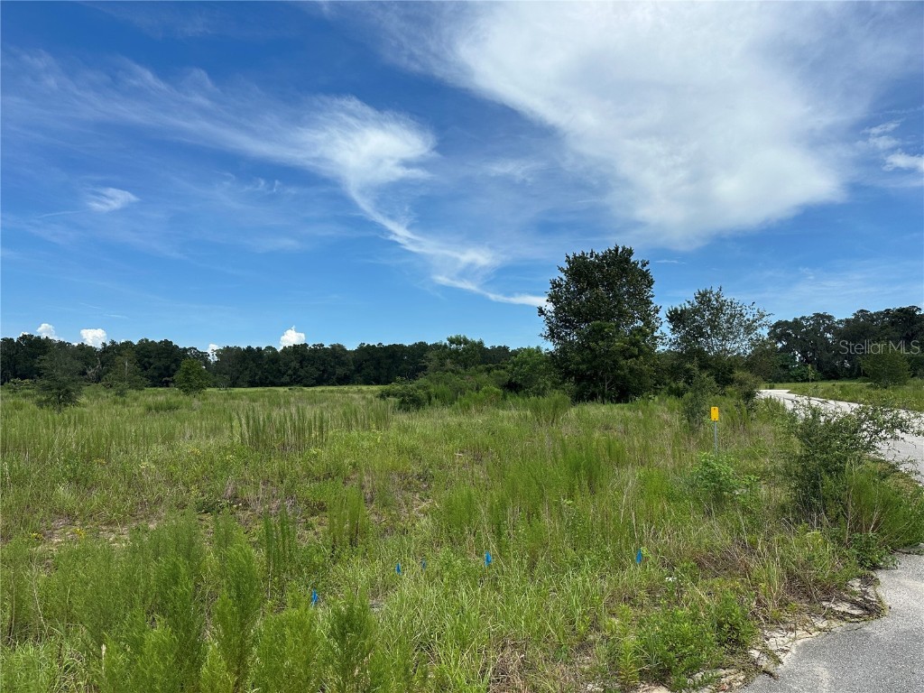 7795 SE 63rd Court Ocala FL 34472 OM706954 image4