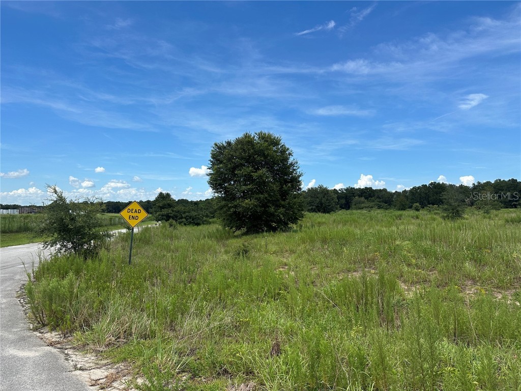 7795 SE 63rd Court Ocala FL 34472 OM706954 image5