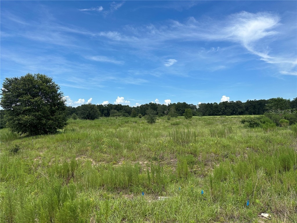 7795 SE 63rd Court Ocala FL 34472 OM706954 image6