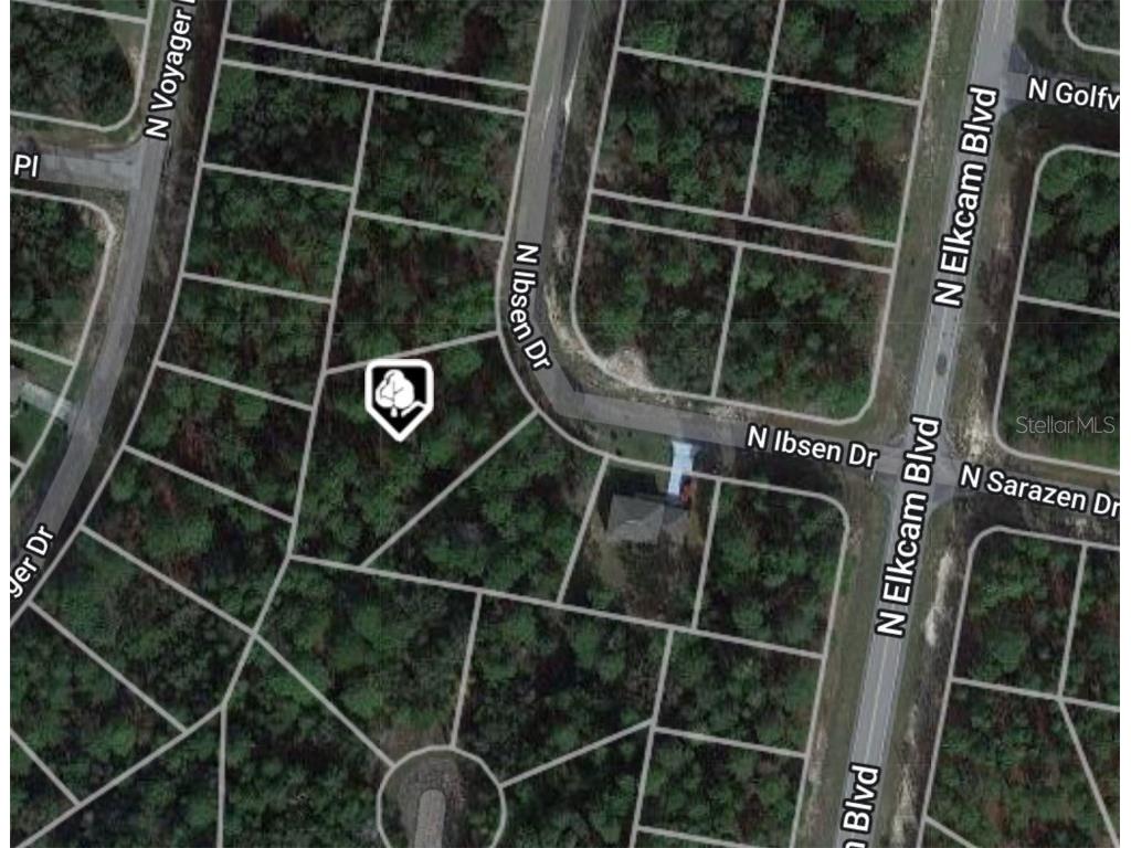 7798 N Ibsen Drive Citrus Springs FL 34433 A4599120 image1