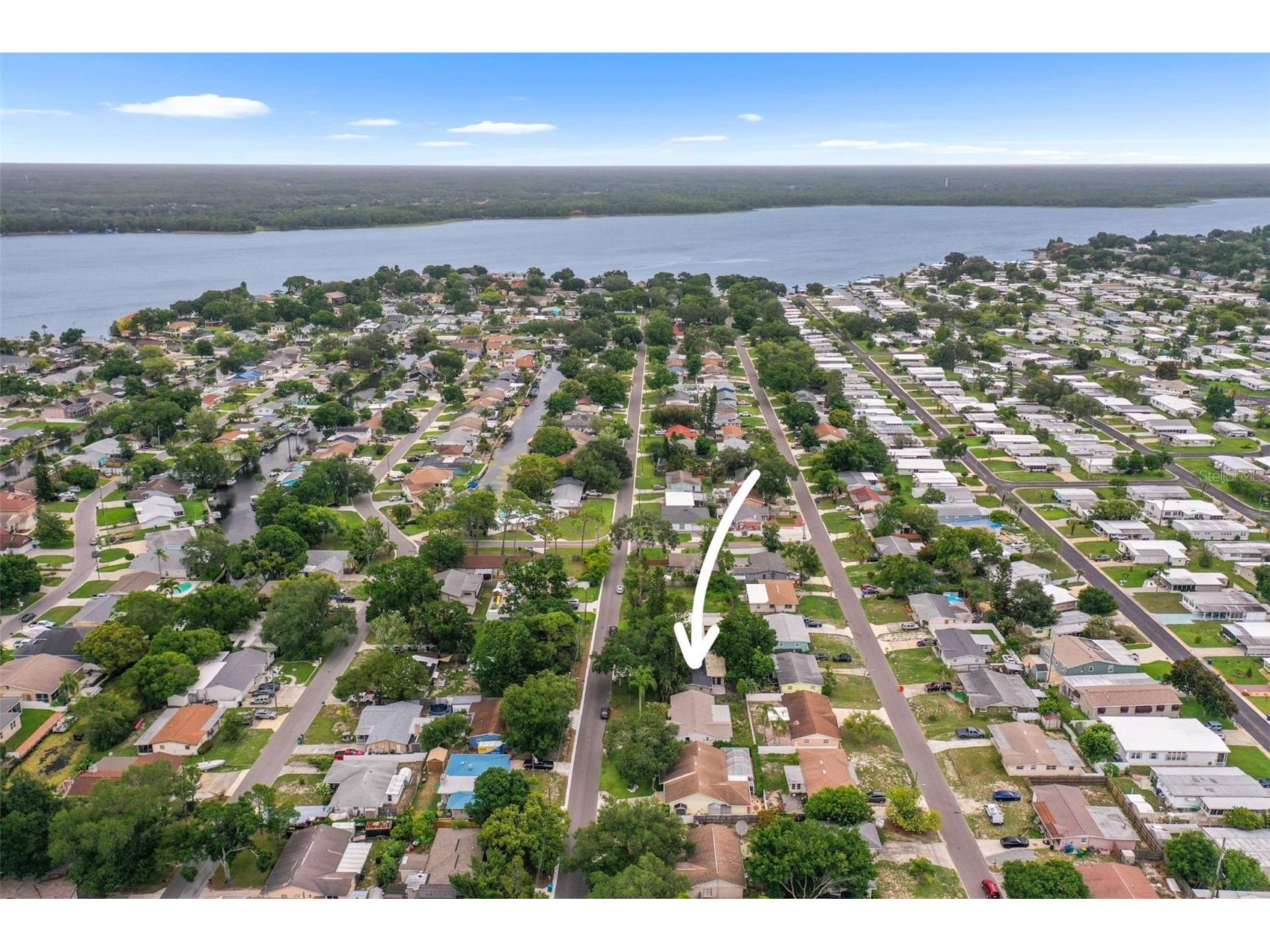 78 Maple Avenue Palm Harbor FL 34684 TB8513564 image35