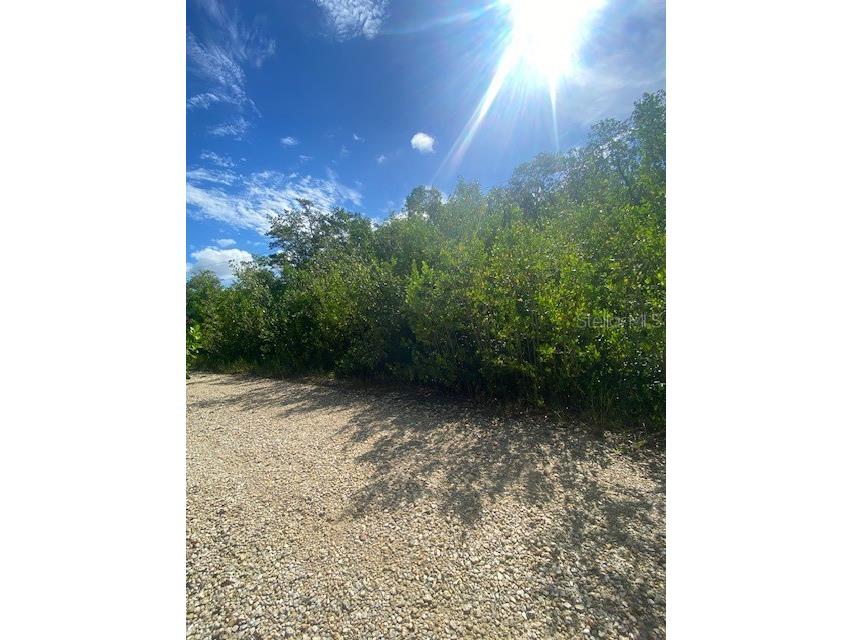 78 Otter Avenue Everglades City FL 34139 U8252252 image1