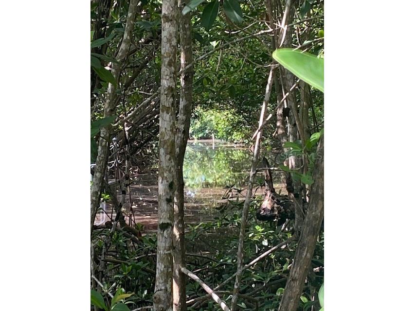 78 Otter Avenue Everglades City FL 34139 U8252252 image2