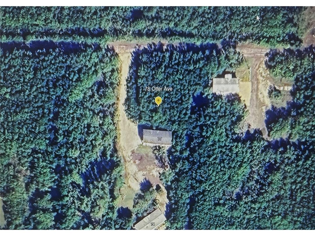 78 Otter Avenue Everglades City FL 34139 U8252252 image5