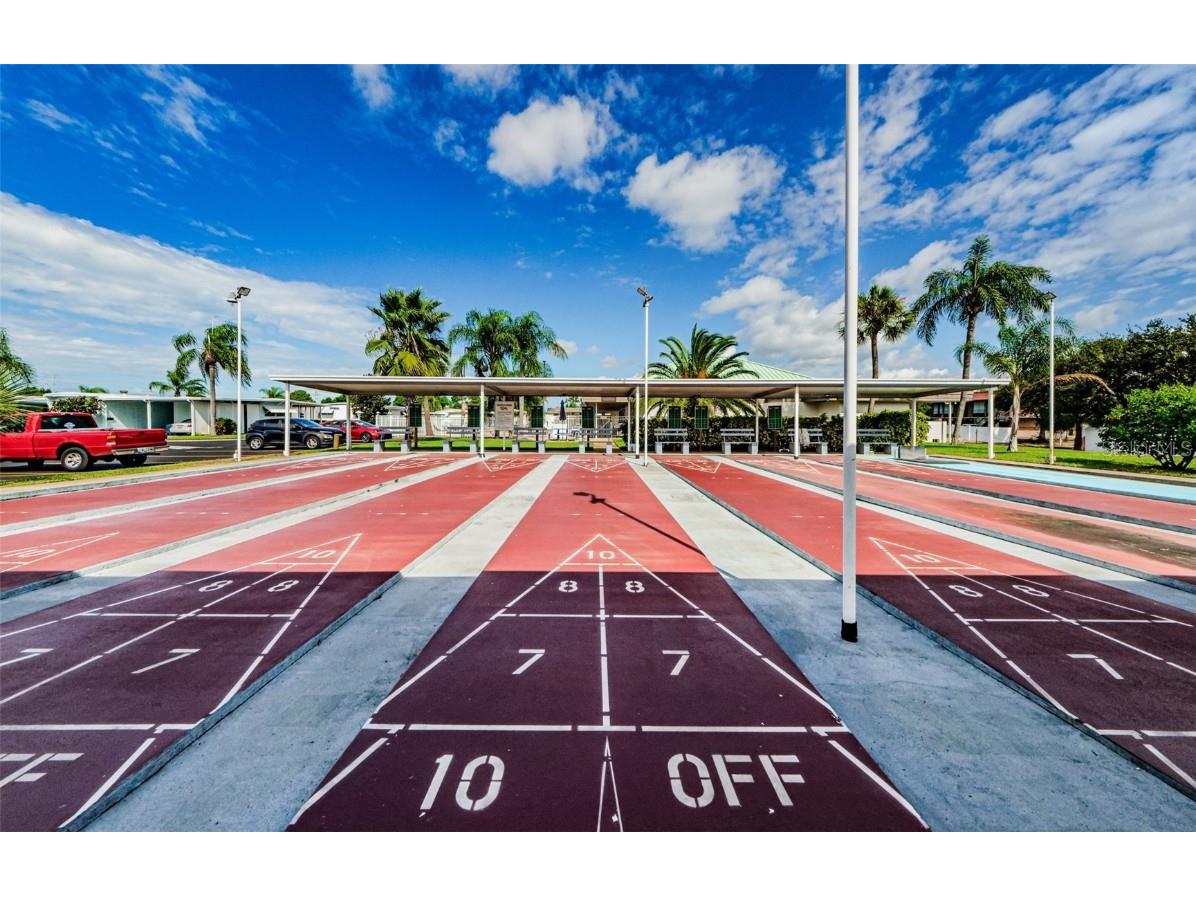 78 Rachel Drive Tarpon Springs FL 34689 TB8449934 image44