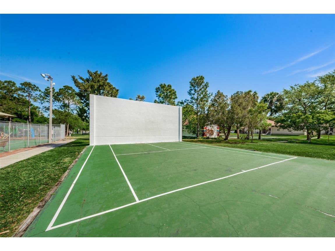 78 Rachel Drive Tarpon Springs FL 34689 TB8449934 image54