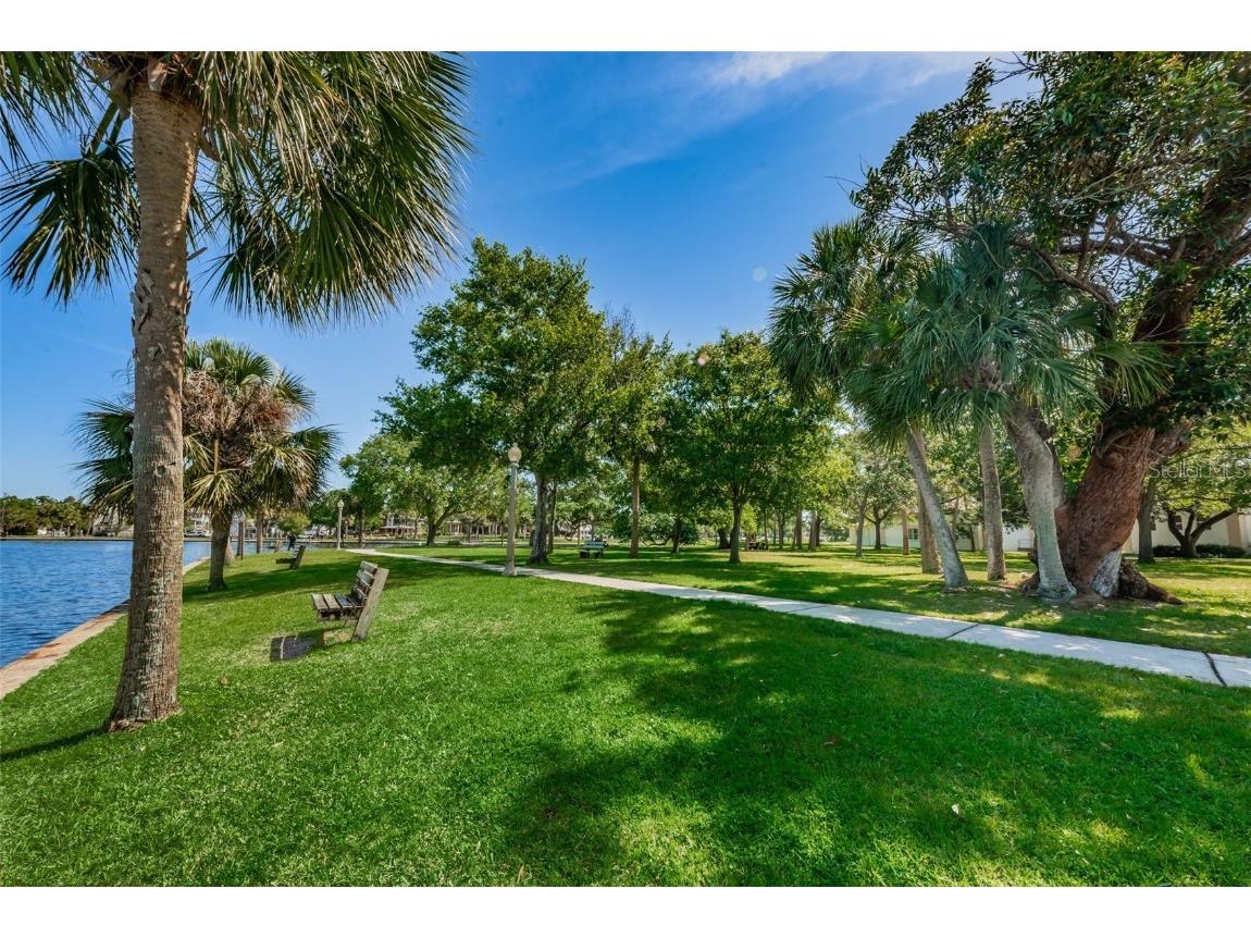 78 Rachel Drive Tarpon Springs FL 34689 TB8449934 image56