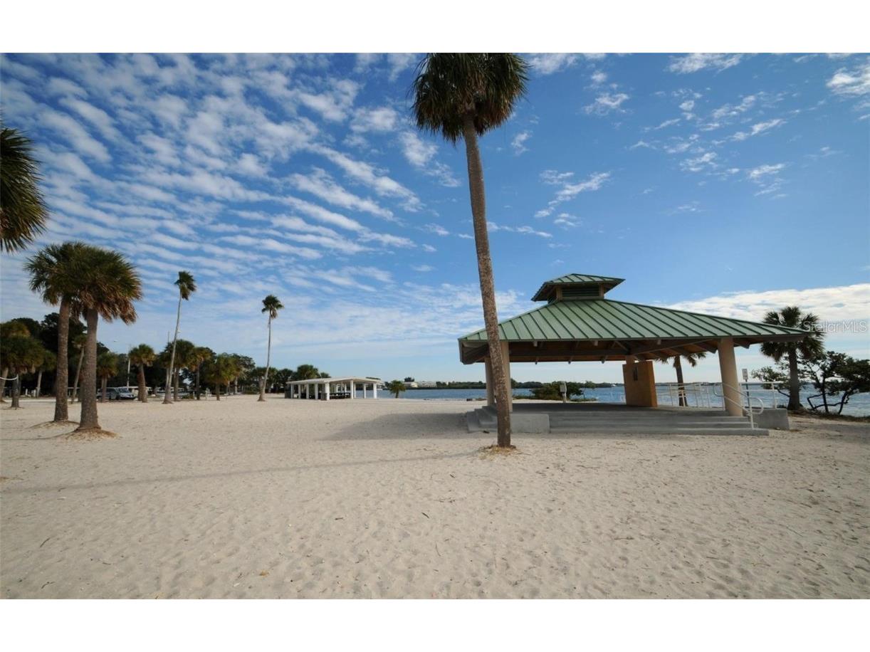 78 Rachel Drive Tarpon Springs FL 34689 TB8449934 image72