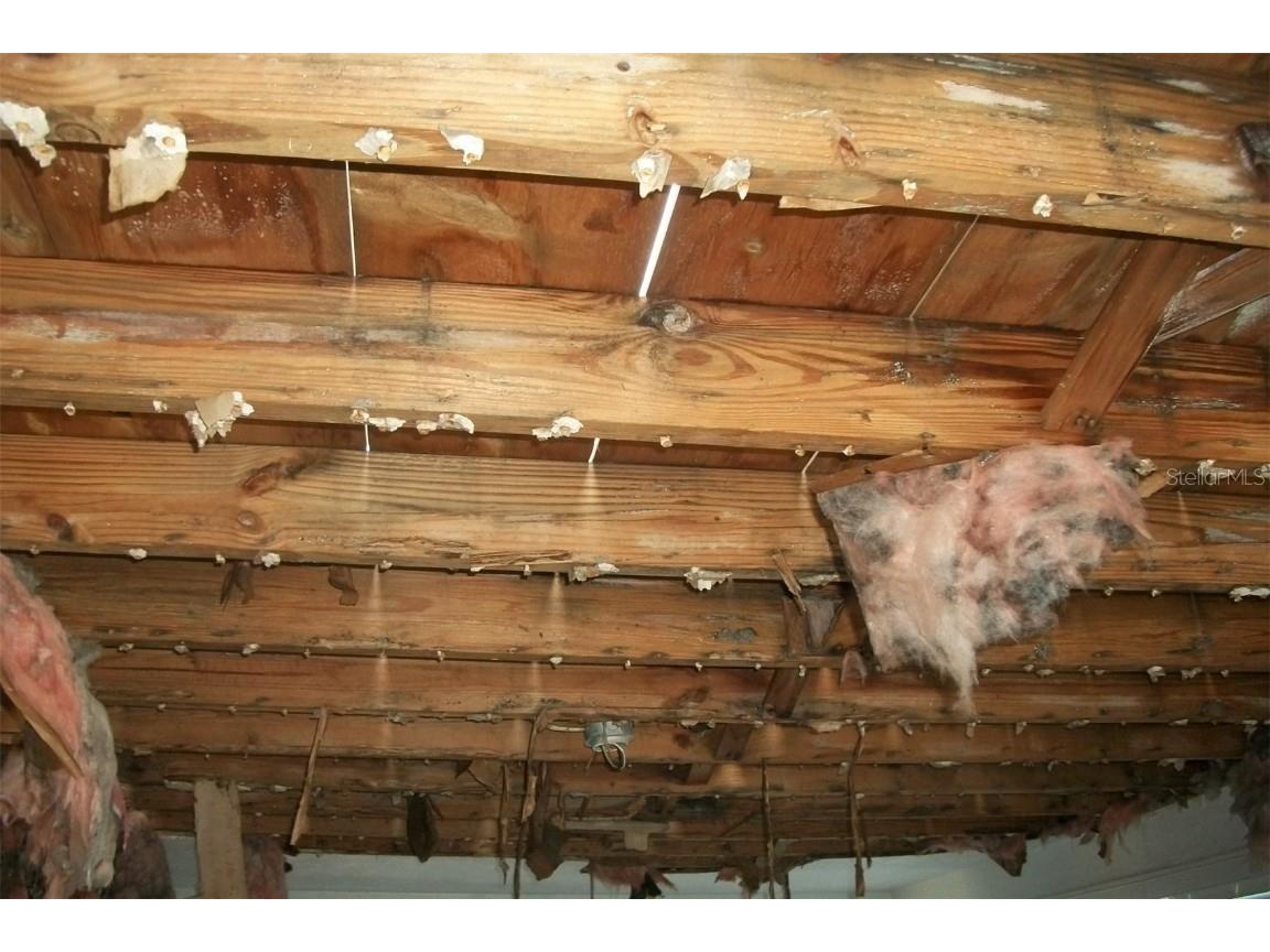 780 116th Avenue Treasure Island FL 33706 TB8359468 image18