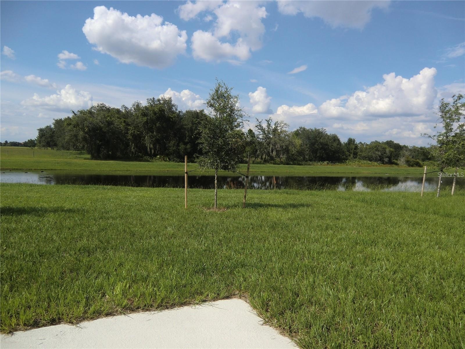 780 Daring Drive Davenport FL 33837 O6417847 image12