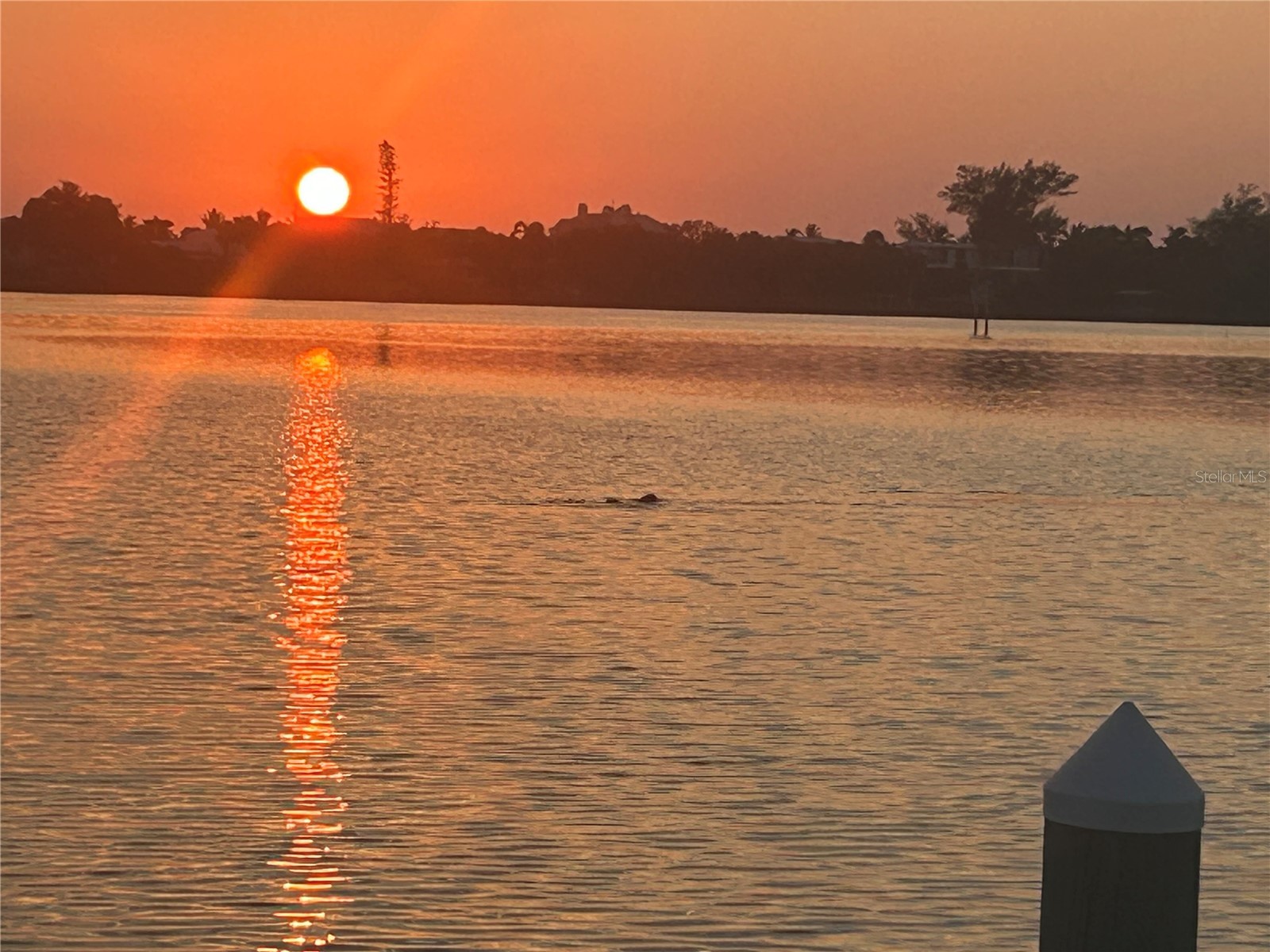 780 Sarabay Road #16 Osprey FL 34229 - LITTLE SARASOTA BAY TB8528486 image44