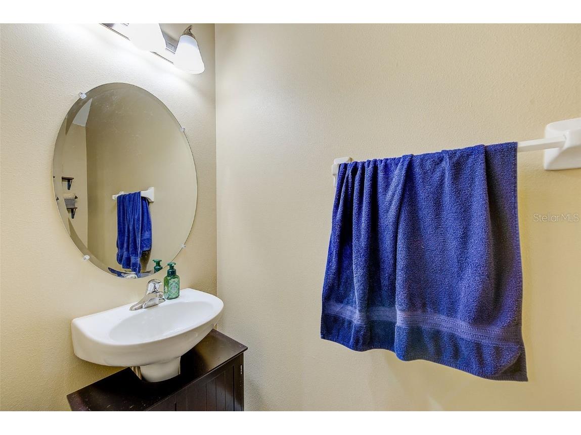 780 Spring Flowers Trail Brandon FL 33511 TB8347169 image14